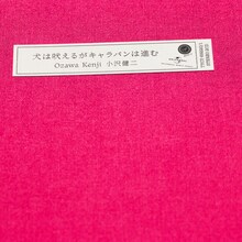 小沢健二「犬は吠えるがキャラバンは進む」再発盤の外観。