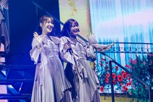 左から菅井友香、田村保乃。（撮影：上山陽介）