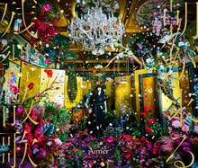 Aimer「残響散歌 / 朝が来る」初回限定盤ジャケット