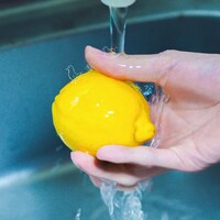 SUNNY CAR WASH「ダーリン / TOKKO」配信ジャケット