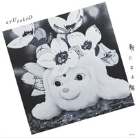 ayU tokiO「新たなる解」アナログ盤ジャケット