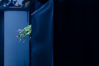 「emori takeaki solo exhibition "group exhibition"」作品