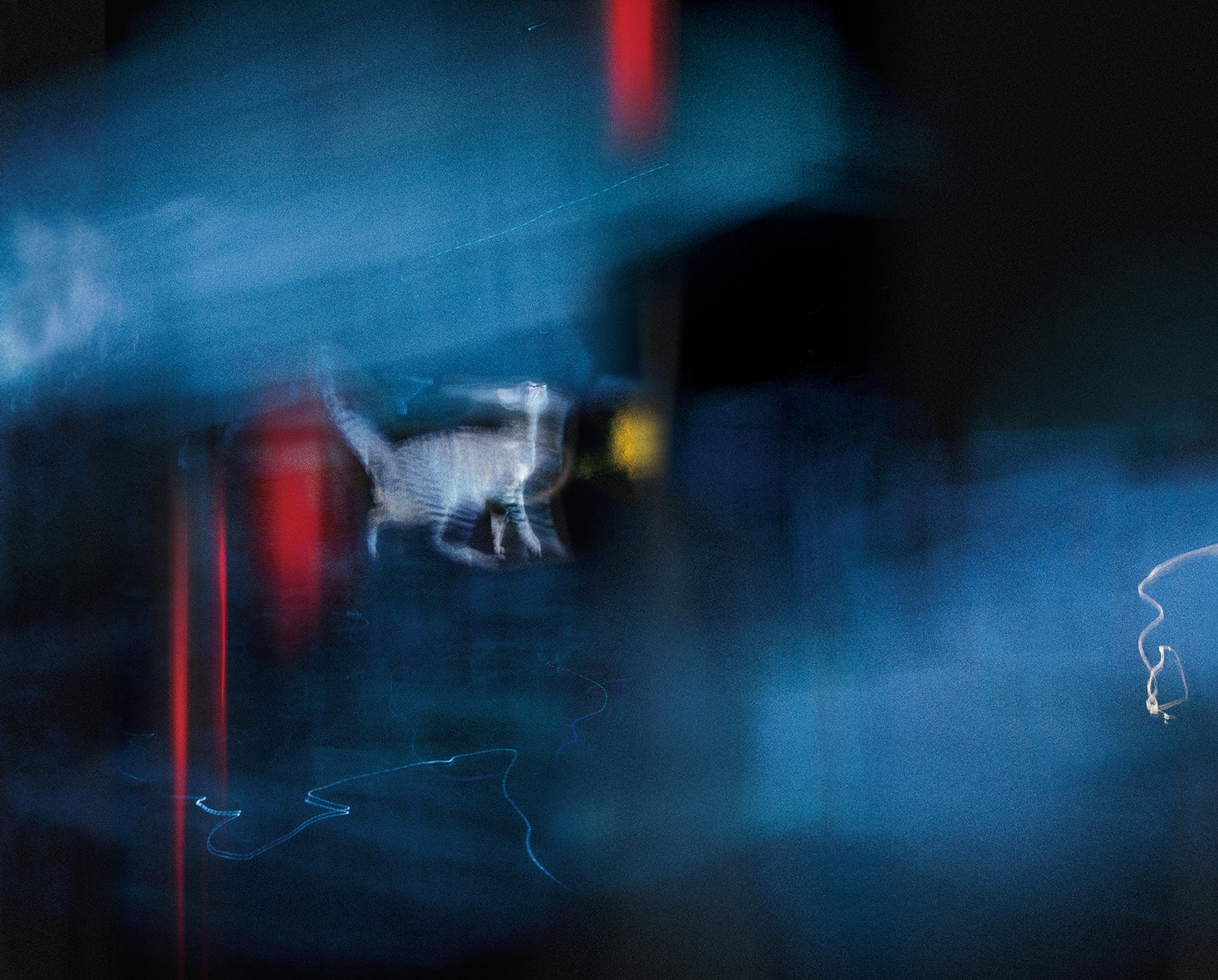 「emori takeaki solo exhibition "group exhibition"」作品