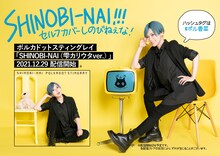 ポルカドットスティングレイ「SHINOBI-NAI（雫カリウタ ver.）」フライヤー