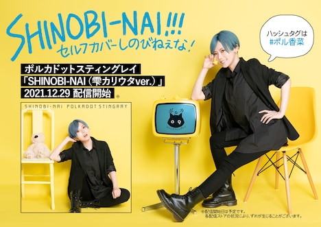 ポルカドットスティングレイ「SHINOBI-NAI（雫カリウタ ver.）」フライヤー