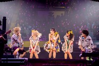 LiSA「LiVE is Smile Always～LADYBUG～」日本武道館公演の様子。（photo by Viola Kam［V'z Twinkle］）