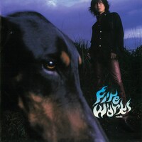 ends「FIRE WORKS」ジャケット