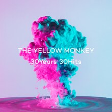THE YELLOW MONKEY「30Years 30Hits」配信ジャケット