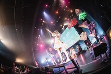 Appare!「天まで届け！竹の子収穫ツアー」東京・チームスマイル・豊洲PIT公演の様子。（撮影：真島洸）