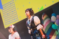 藍井すず（撮影：真島洸）