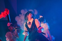 藍井すず（撮影：真島洸）