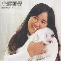 小坂明子「愛のメルヘン」ジャケット