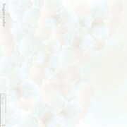 宮田和弥「Sugar cube」配信ジャケット