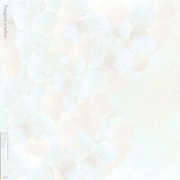 宮田和弥「Sugar cube」配信ジャケット