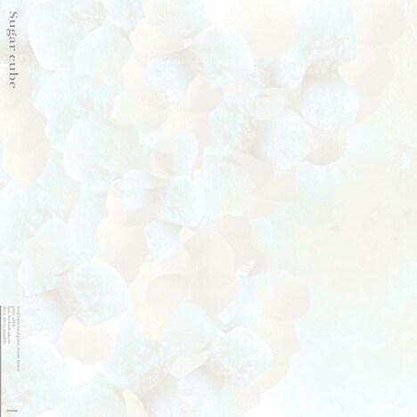 宮田和弥「Sugar cube」配信ジャケット