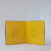 cero「WORLD RECORD」アナログ盤ジャケット