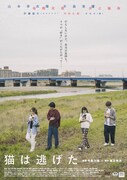映画「猫は逃げた」ポスタービジュアル