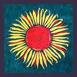 メシアと人人「HIMAWARI EP」配信ジャケット