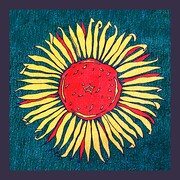 メシアと人人「HIMAWARI EP」配信ジャケット