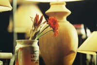 Homecomings「Garden With A Holy Light」の様子。（撮影：池野詩織）