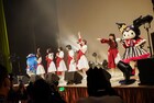 シナモロールやクロミたちも参加！GO TO THE BEDSとPARADISESのサンリオピューロランド競演
