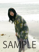 EMPiRE「ViBES」のヨドバシ.comでの予約予約特典。