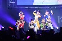 柏木由紀と豆柴の大群。