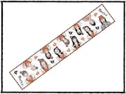 タオルマフラー