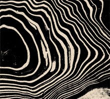 WBSBFK「Grotesk」ジャケット