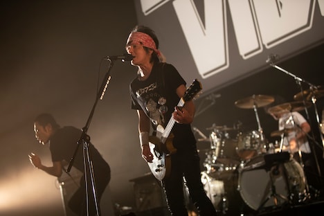 真島昌利（G / ザ・クロマニヨンズ）（撮影：柴田恵理）