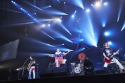 日本武道館初ワンマンライブ「ニューロティカの『心燃会』」より。