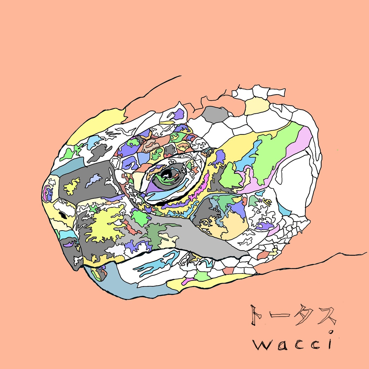 wacci「トータス」配信ジャケット