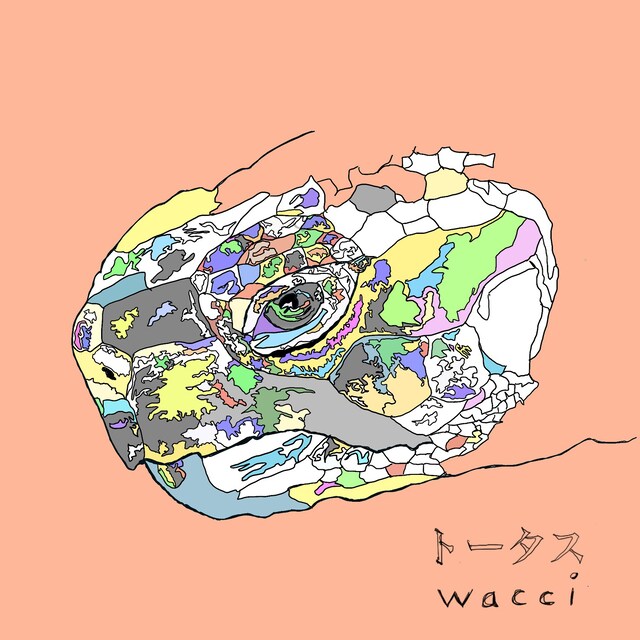 wacci「トータス」配信ジャケット