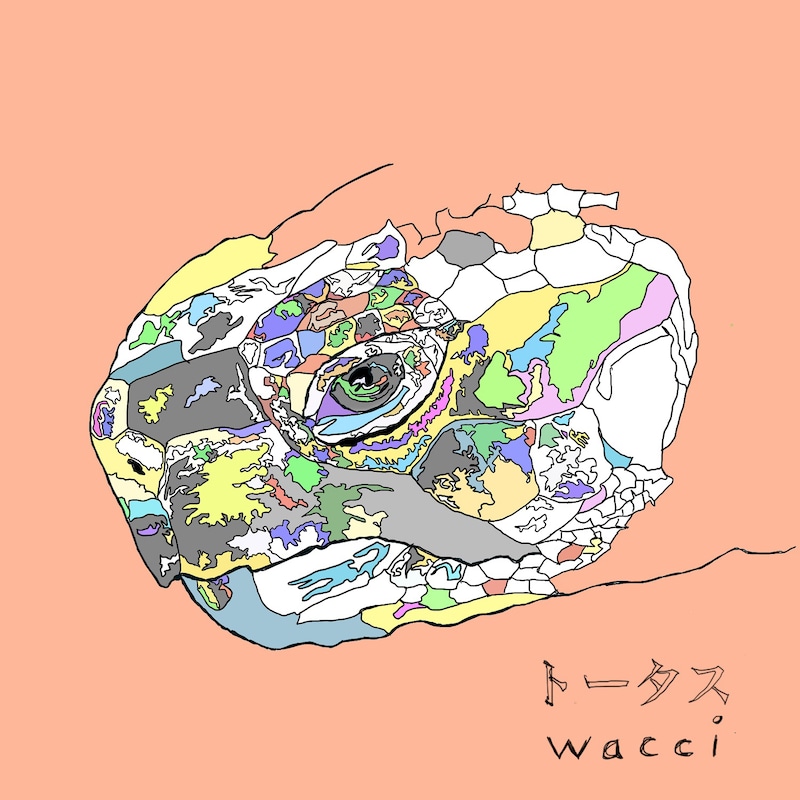 wacci「トータス」配信ジャケット