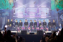 SEVENTEEN（写真提供：HYBE）