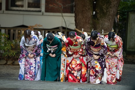 一礼する乃木坂46の新成人メンバー。