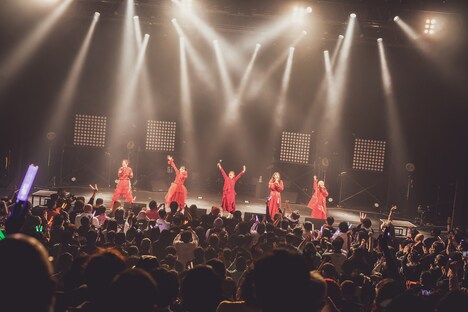 PIGGS（Photo by 村長 @son_tkhs）