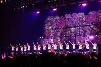 櫻坂46「3rd Single BACKS LIVE!!」の様子。（撮影：上山陽介）