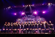 櫻坂46「3rd Single BACKS LIVE!!」の様子。（撮影：上山陽介）