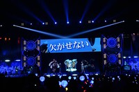 ヨコハマ・ディビジョンMAD TRIGGER CREW（撮影：山副圭吾、今元秀明）