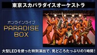 「東京スカパラダイスオーケストラ オンラインライブ 『PARADISE BOX』」ビジュアル
