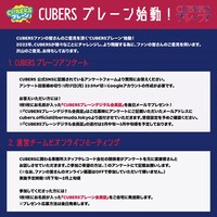 「CUBERSブレーン」概要