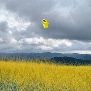 バーチャルラッパー・ピーナッツくん、浮遊感あふれる新曲「Tamiflu（feat. チャンチョ）」配信