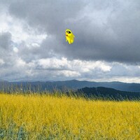 ピーナッツくん「Tamiflu（feat. チャンチョ）」配信ジャケット