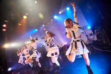 手羽先センセーション「画鳥点睛」東京・UNIT公演の様子。