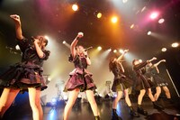 手羽先センセーション「画鳥点睛」東京・UNIT公演の様子。