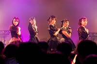 手羽先センセーション「画鳥点睛」東京・UNIT公演の様子。