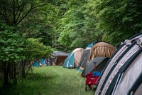 「FUJI & SUN」会場風景