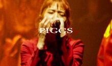 PIGGS「NOT PIG」ライブ映像より。