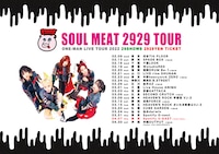 PIGGS「SOUL MEAT 2929 TOUR」フライヤー